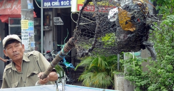 TPHCM: Người thương binh mỗi ngày vớt hàng trăm kg rác "giải cứu" dòng kênh