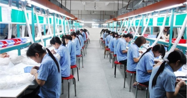 Doanh nghiệp cần chủ động phổ biến kiến thức pháp luật cho người đi lao động nước ngoài và người bảo lãnh