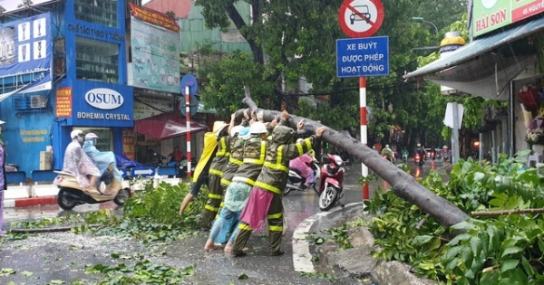 Bão số 7 đã đi vào Vịnh Bắc Bộ, sức gió giật cấp 11