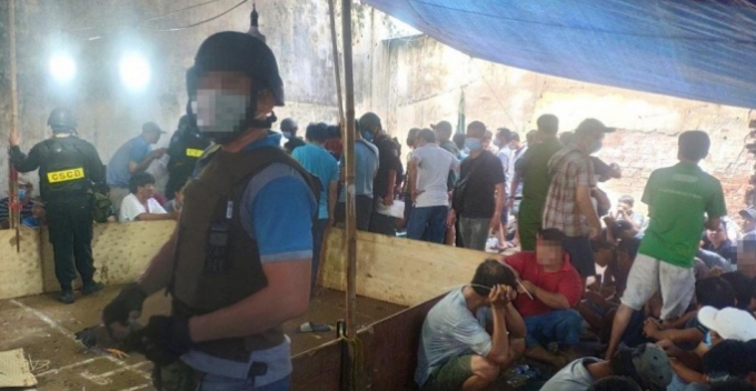 Lực lượng chức năng ập bắt trường gà.