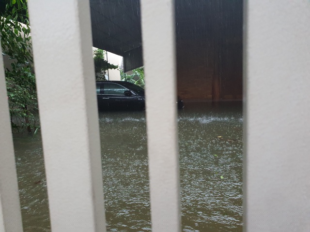 Rất nhiều tài sản đã