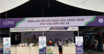 Cần Thơ: "Hướng tới thúc đẩy đổi mới công nghệ cho hợp tác xã"