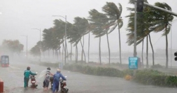 8 việc cần làm ngay để phòng chống dịch bệnh mùa mưa bão