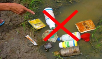 31 loại thuốc bảo vệ thực vật bị cấm sử dụng tại Việt Nam