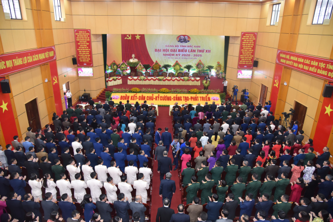 DSC2467J-b82b449af90c