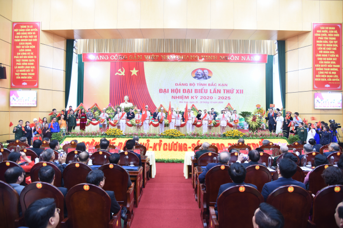 DSC2509J-cd1bb42b0001