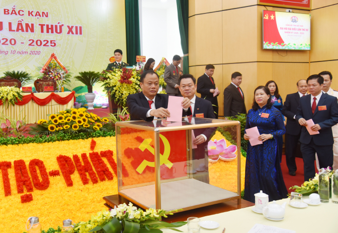 C093C6A0-B36F-4669-B058-E5457738D805.