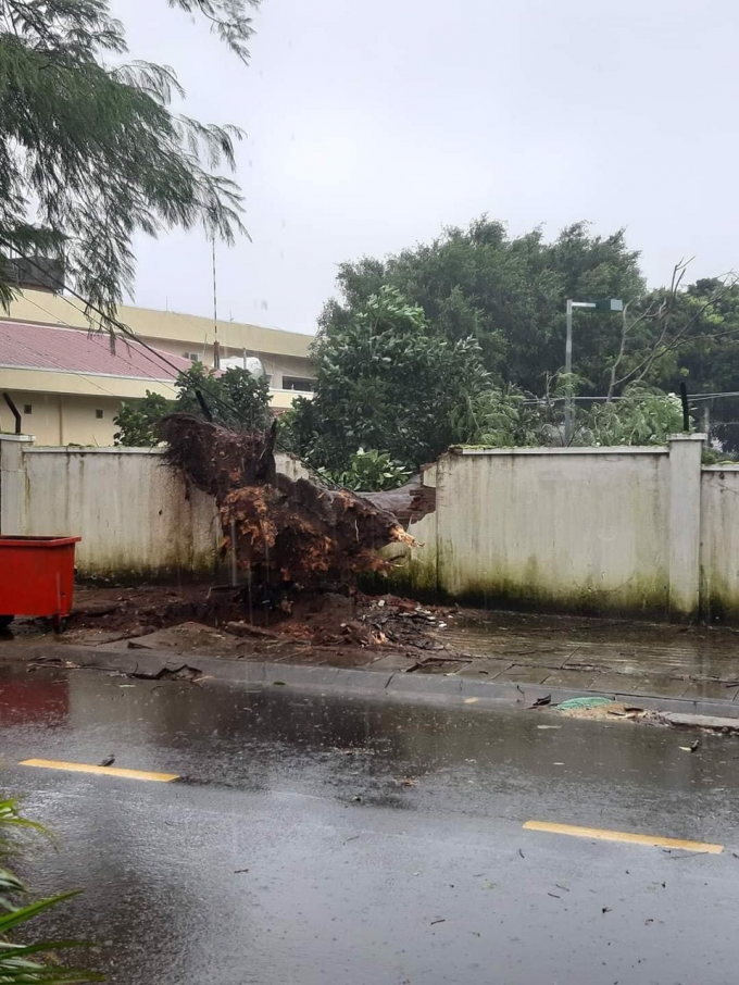 06472D72-6A43-46E4-9298-F70D0623861C