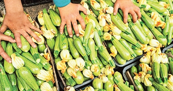 Hướng đi bền vững trong khủng hoảng