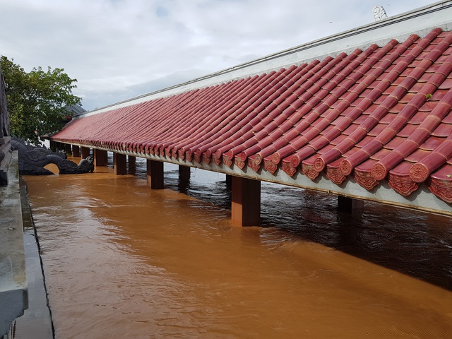 Mực nước gần đến mái bến thả hoa Thạch Hãn.