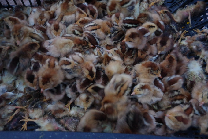 123011526_387281622322237_4770256926088076130_n