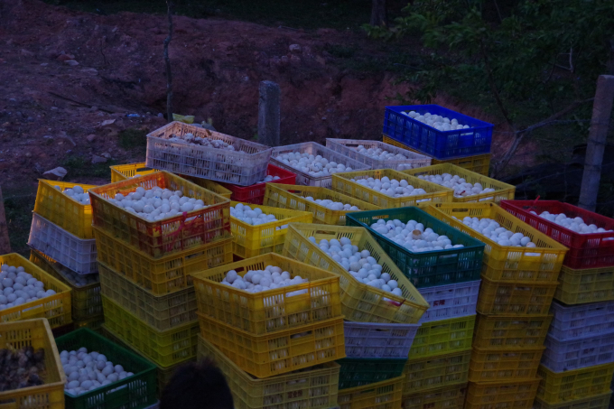 123125487_1330338370644522_1689630929688737762_n