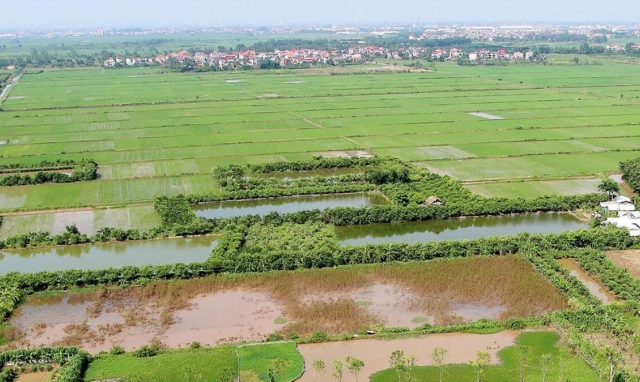 Những vi phạm đất đai tại x&atilde; Xu&acirc;n Ki&ecirc;n, Xu&acirc;n H&ograve;a huyện Xu&acirc;n Trường 