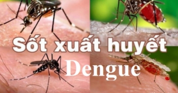 Bộ Y tế cảnh báo sốt xuất huyết Dengue phát triển mạnh tại nhiều tỉnh thành