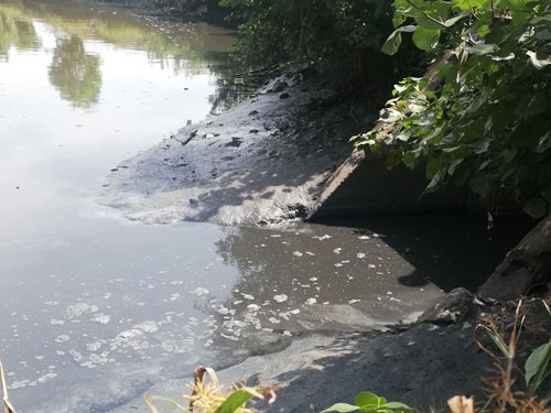 Bắc Ninh: Một cá nhân bị phạt 263 triệu đồng vì vi phạm trong lĩnh vực bảo vệ môi trường