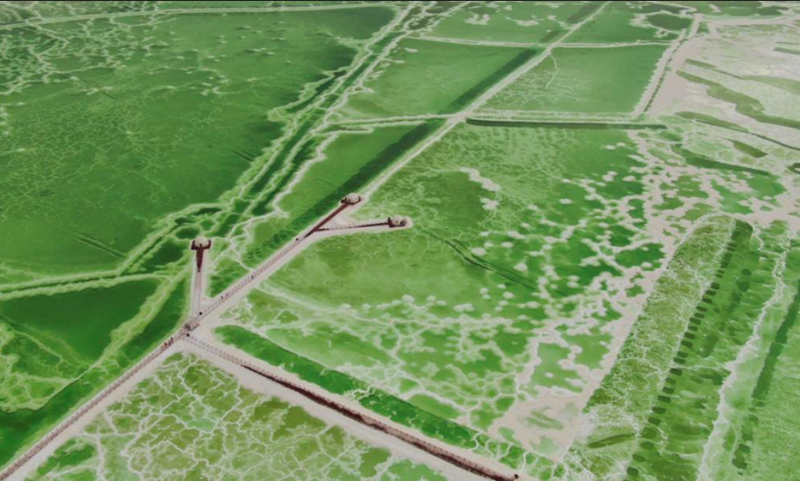 Ng&agrave;n năm thăng trầm nghề muối ở Trung Quốc ảnh 4