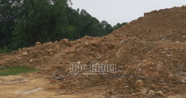 San lấp đất trái phép, Công ty TNHH Hoàng Mạnh Việt bị xử phạt hành chính