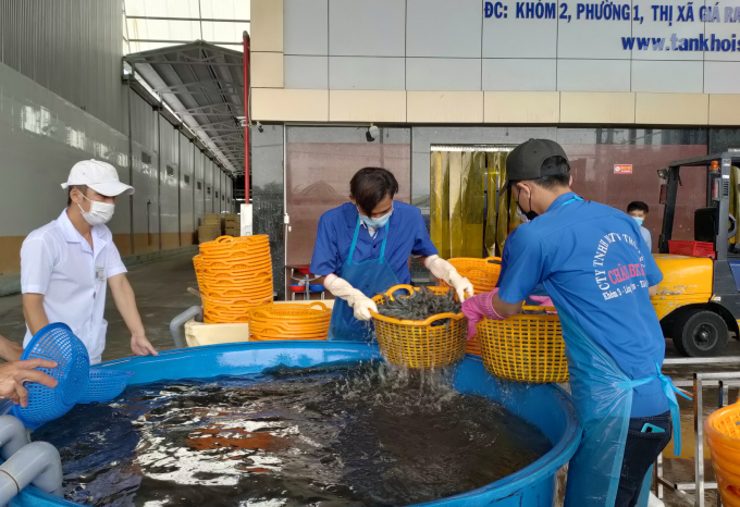 Với tình hình dịch bệnh Covid-19, các Doanh nghiệp gặp rất nhiều khó khăn trong sản xuất kinh doanh...