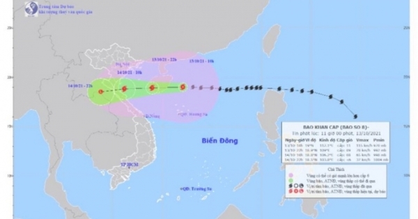 Hải Phòng: Chủ động các biện pháp ứng phó với bão số 8