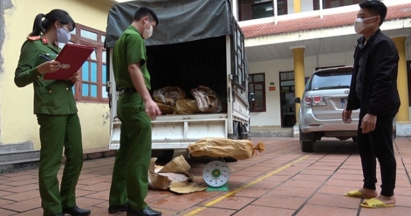 Cao Bằng: Thu giữ nửa tấn chân gà không rõ nguồn gốc