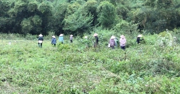 Hòa Bình: Khởi tố vụ án một hộ dân bị hàng xóm hủy hoại tài sản