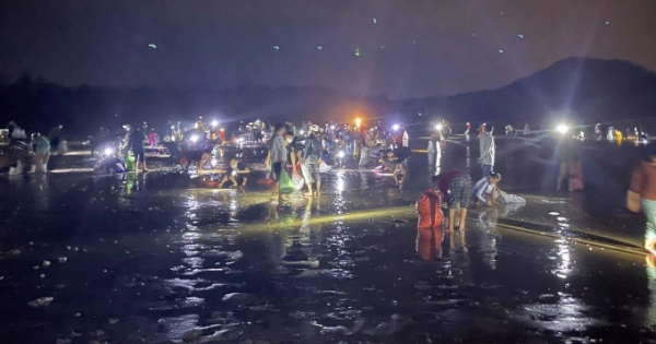 “Lộc” tấp đầy bãi biển, dân hò nhau kéo về trong đêm