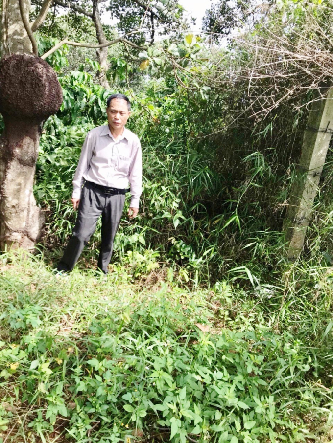 &Ocirc;ng Huỳnh tại rẫy c&agrave; ph&ecirc; bị b&iacute;t lối v&agrave;o.