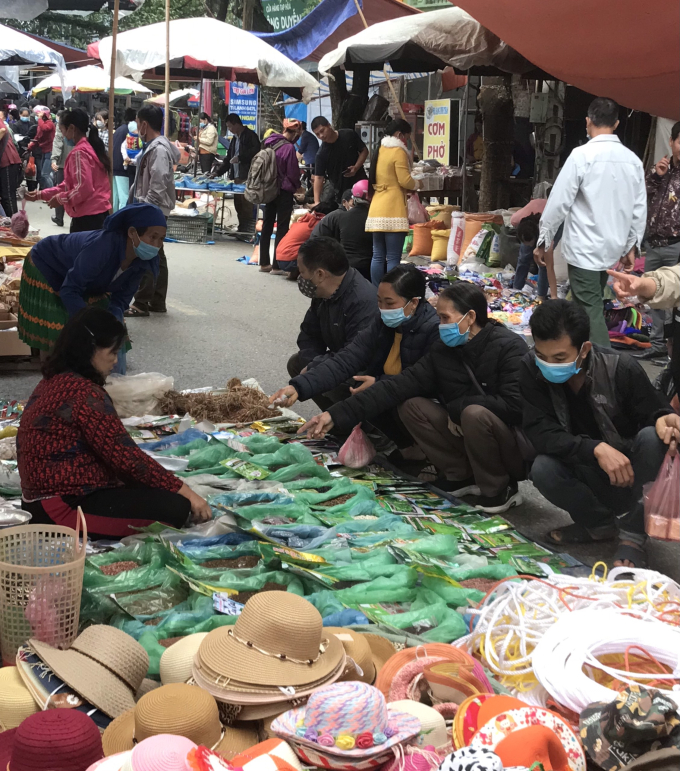 Mọi người đang chọn giống rau cho mùa vụ đông