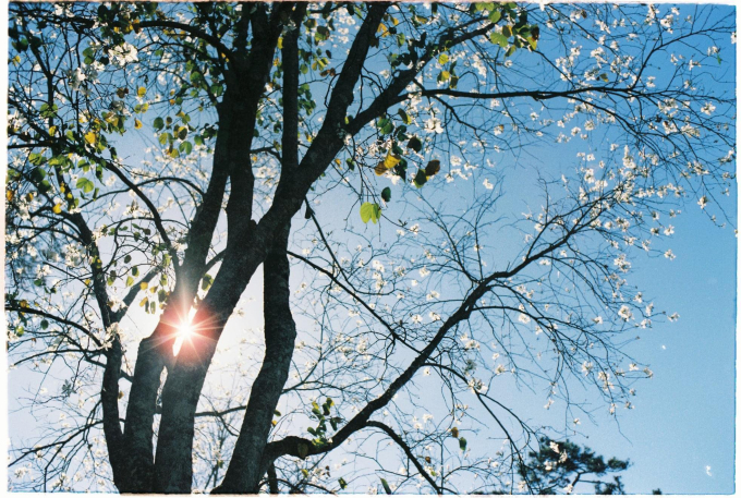 121161476_382352219588220_1521822750789667904_n