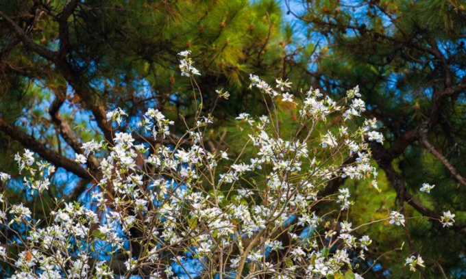 247306019_1021705311955529_7846888100992409108_n