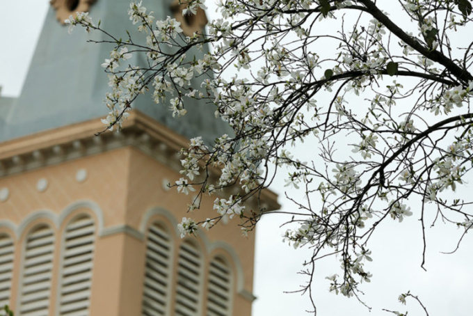 247584508_339078461352047_4267724791678093630_n