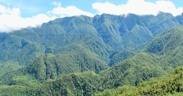 Quốc hội thảo luận về thí điểm một số cơ chế, chính sách đặc thù phát triển tỉnh/thành phố