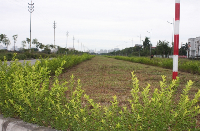 Tuyến đường gần 480 tỷ, cỏ mọc thành “rừng”: Được khoác tấm áo mới sau phản ánh của Pháp luật Plus
