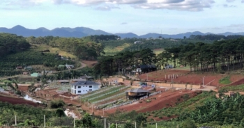 UBND TP Bảo Lộc có biểu hiện buông lỏng công tác quản lý sử dụng đất đai