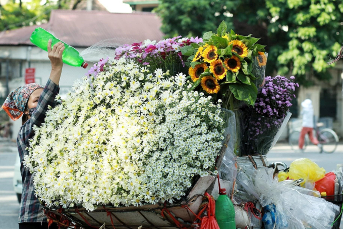 246771052_247782150553609_7391426796706048175_n (1)