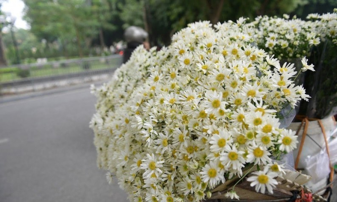 123442968_479526346299691_4628136765319253992_n