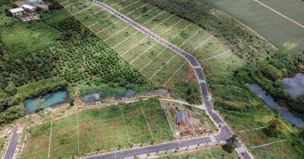 Xem xét tạm thời chuyển vị trí công tác lãnh đạo VPĐK đất đai tỉnh Lâm Đồng