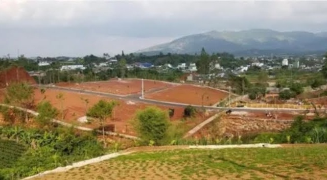 Đ&igrave;nh chỉ c&ocirc;ng t&aacute;c đối với Trưởng Ph&ograve;ng Quản l&yacute; Đ&ocirc; thị TP Bảo Lộc