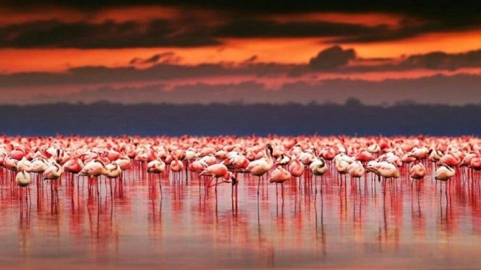 Tho Nhi Ky Ho Tuz noi tieng phoi day vi han han 4