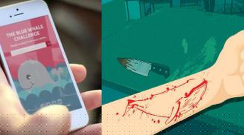 Tr&ograve; chơi nguy hiểm Thử th&aacute;ch c&aacute; voi xanh.