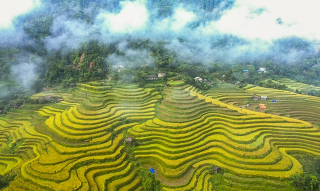 Du lịch H&agrave; Giang ph&aacute;t triển nhờ ph&aacute;t huy vẻ đẹp của ruộng bậc thang