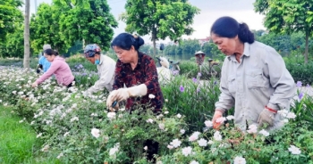 Dấu ấn đẹp của phong trào “Người tốt, việc tốt”