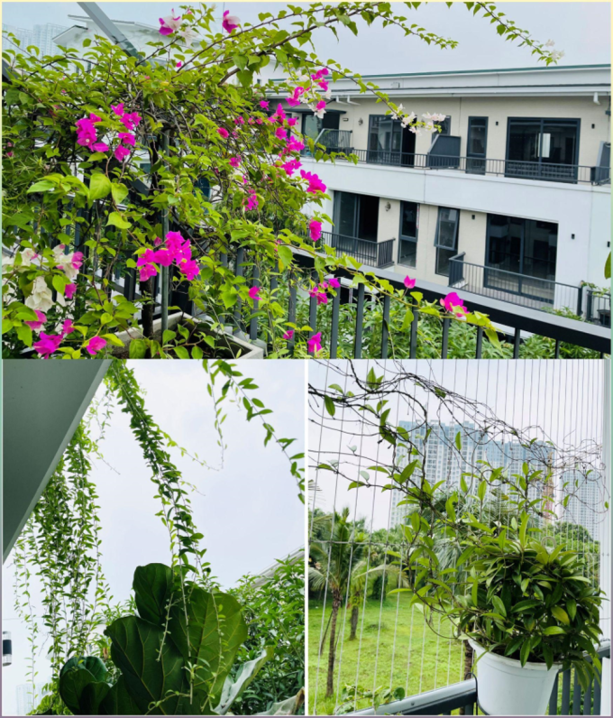 Góc view xanh mướt nhìn từ căn hộ thuộc khu Thủy Trúc mà gia đình chị đã dọn về ở từ tháng 12/2021.