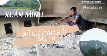 Xuân Minh nỗ lực phục hồi sau lũ