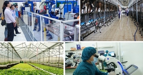 Đề xuất 14 nhiệm vụ của Hội đồng quản lý trong tổ chức KH&CN công lập