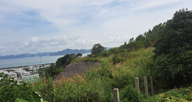 Lạ kỳ lô “đất vàng” ở TP Hạ Long rộng 25.000m2 cỏ cây mọc như rừng