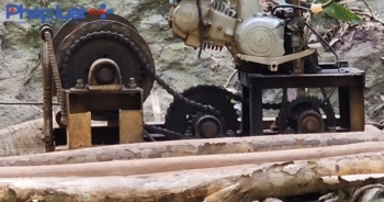 Yên Bái: Nhanh chóng truy vết, xử lý dứt điểm vụ phá rừng tại huyện Văn Yên