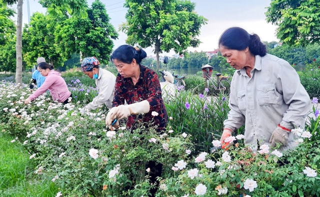 Dấu ấn đẹp của phong trào “Người tốt, việc tốt”