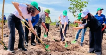 Sẽ trồng mới 101.000 cây xanh tại rừng đầu nguồn