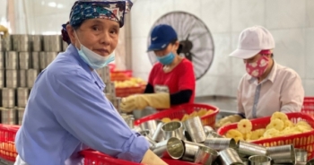 Luật Việc làm hướng tới người lao động cao tuổi